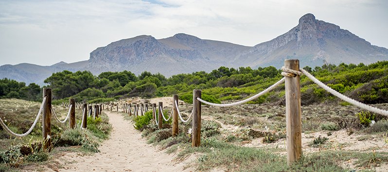 Best equestrian routes in Mallorca