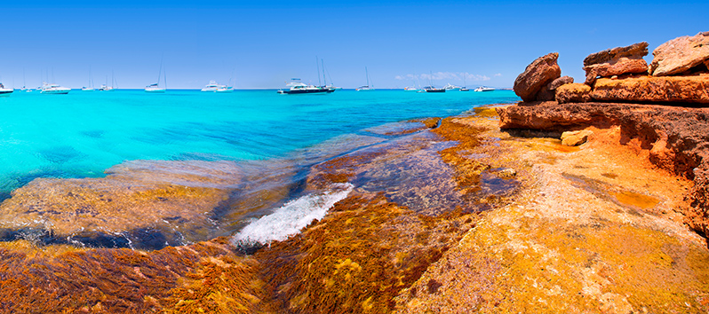 beaches in the Balearic Islands to practice mud therapy, Cala Saona (Formentera)