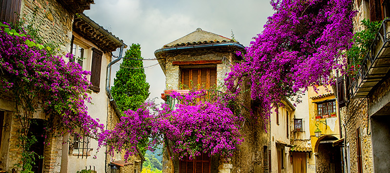 travel on Valentine's Day, Provence (France)